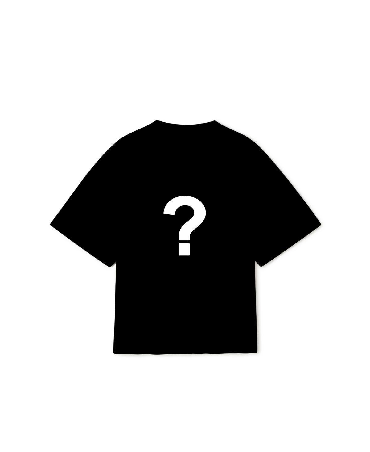 300 GSM 'Mystery Box' T-Shirt